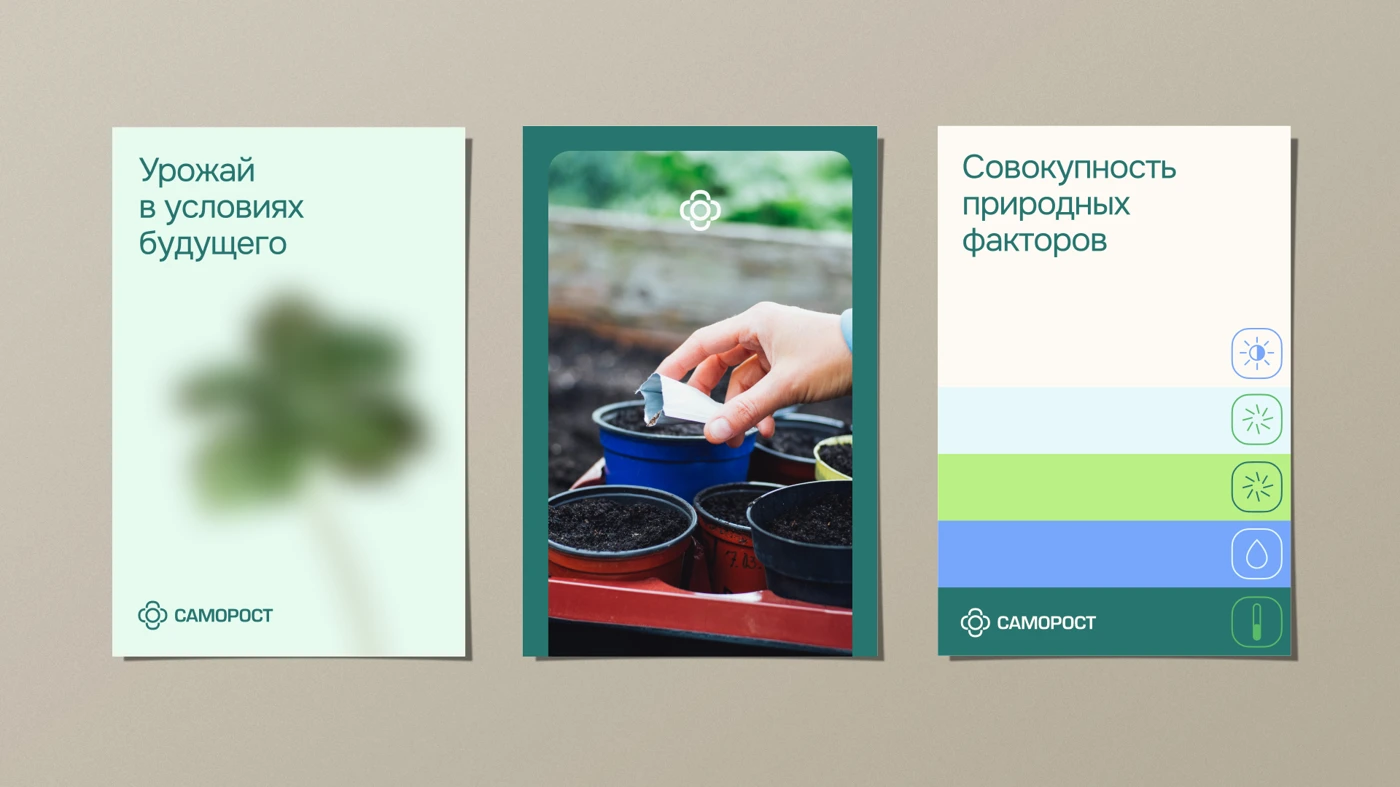 Проект «Саморост» — 9