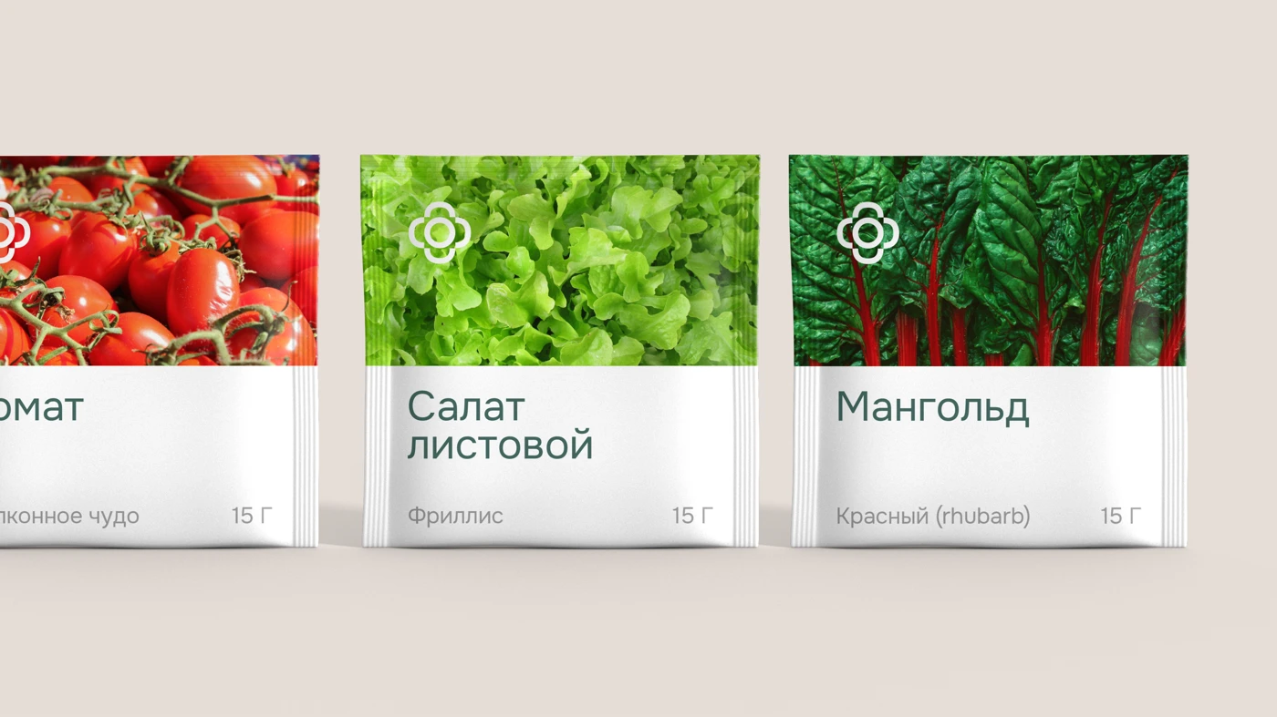 Проект «Саморост» — 12